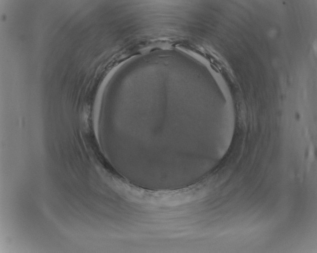 X0000076080026200610152304