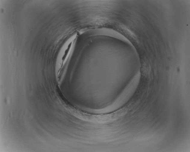 X0000076080027200610152304