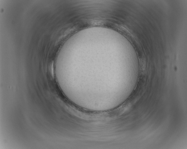 X0000076080028200610152304