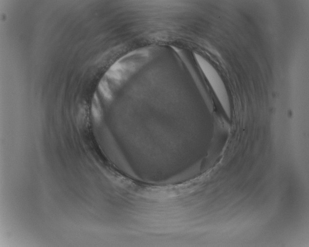 X0000076080029200610152304