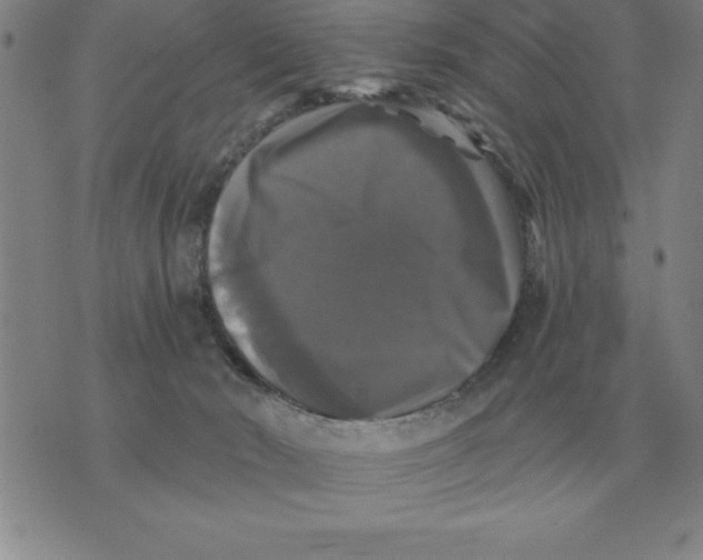 X0000076080030200610152304