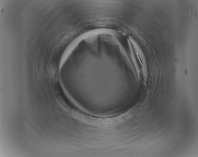 X0000076080031200610152304