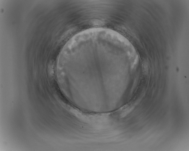 X0000076080032200610152304