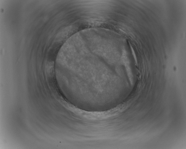 X0000076080034200610152304