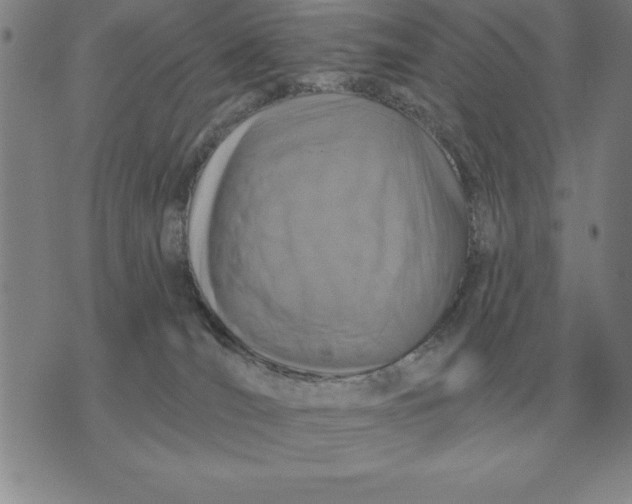 X0000076080036200610152304