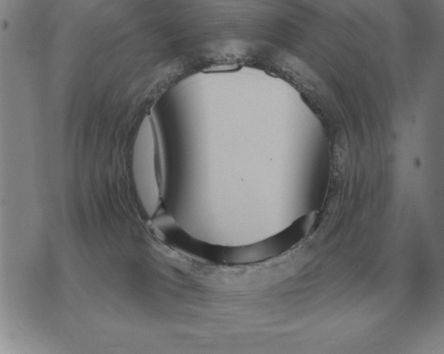 X0000076080037200610152304