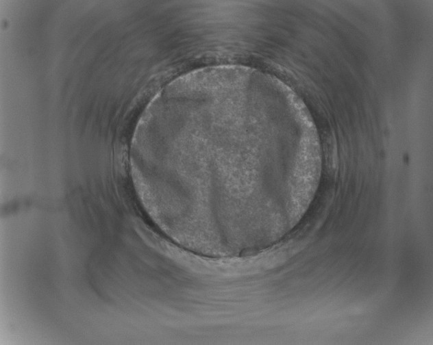 X0000076080038200610152304