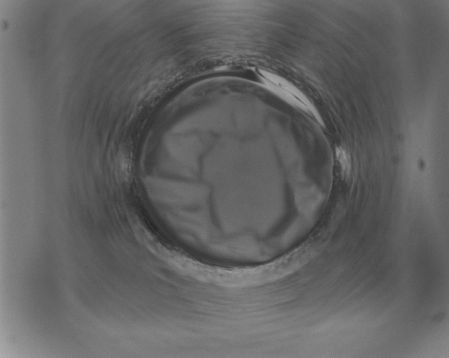 X0000076080039200610152304