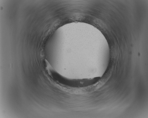 X0000076080040200610152304