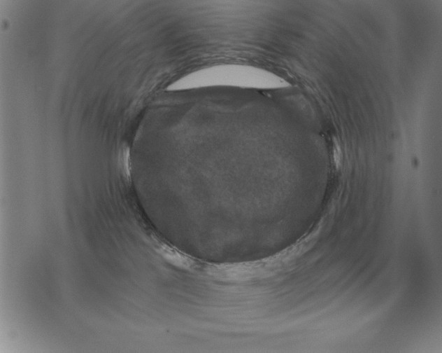 X0000076080041200610152304