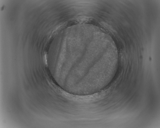 X0000076080042200610152304