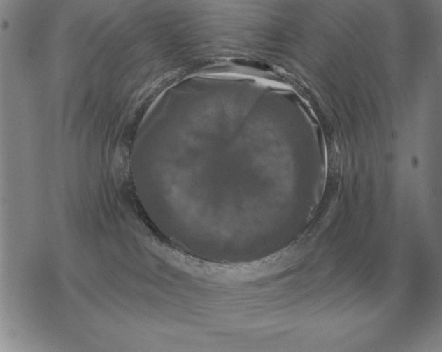 X0000076080043200610152304