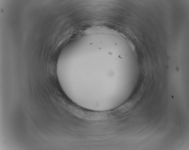 X0000076080044200610152304