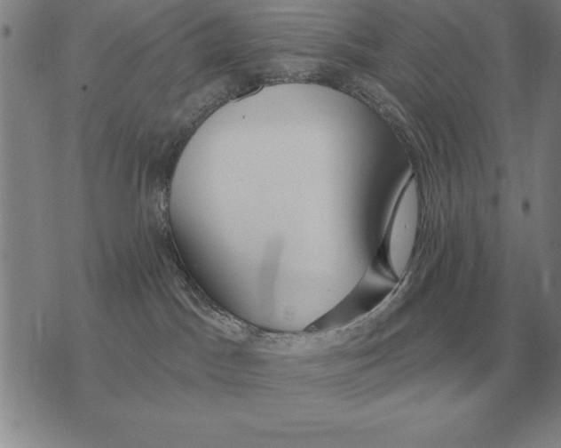 X0000076080045200610152304