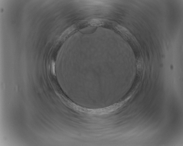 X0000076080046200610152304