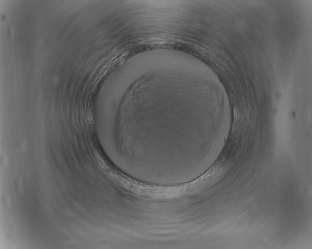 X0000076080048200610152303