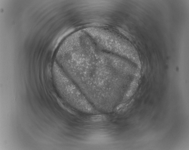 X0000076080050200610152303