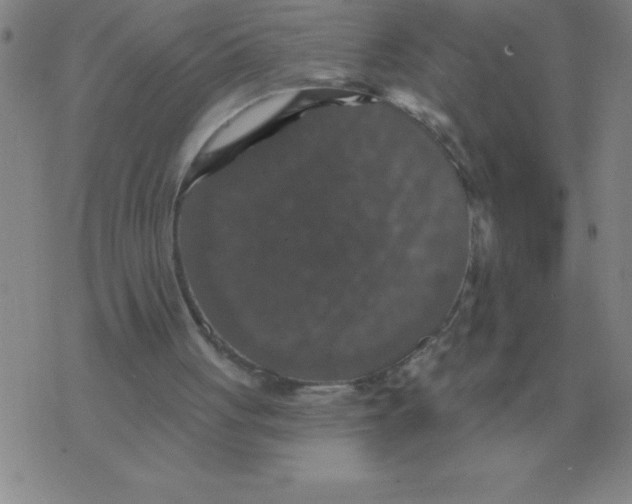 X0000076080051200610152303