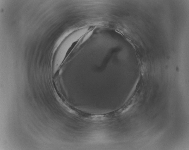 X0000076080052200610152303