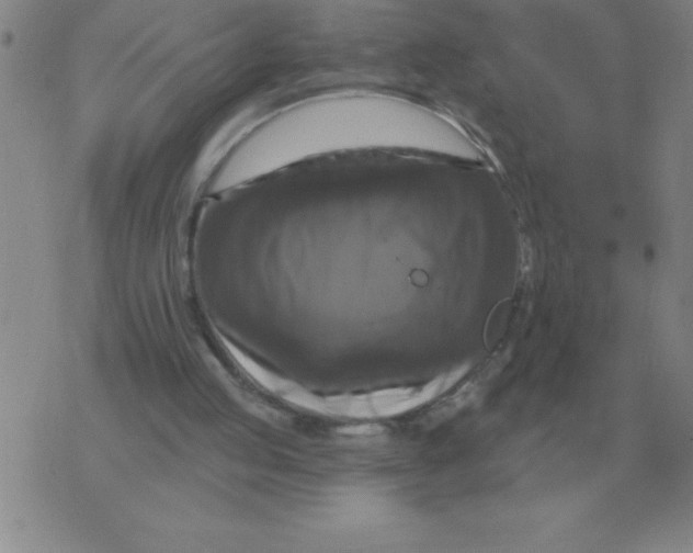 X0000076080053200610152303