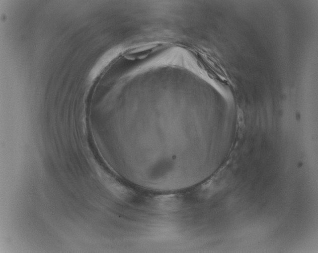 X0000076080054200610152303