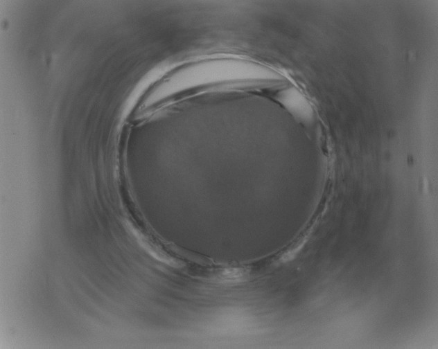 X0000076080056200610152303