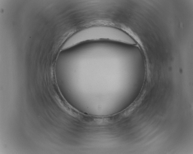 X0000076080057200610152303