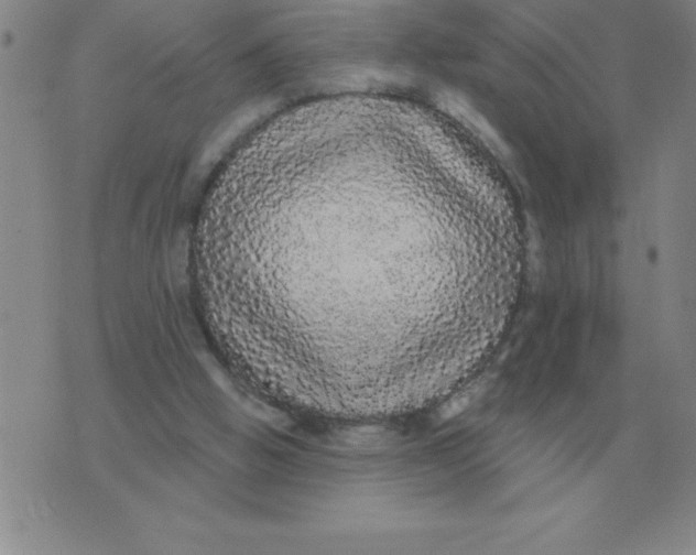 X0000076080058200610152303