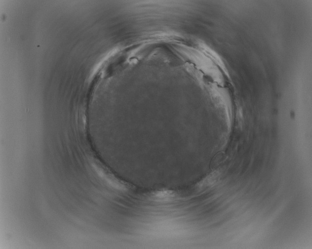 X0000076080059200610152303