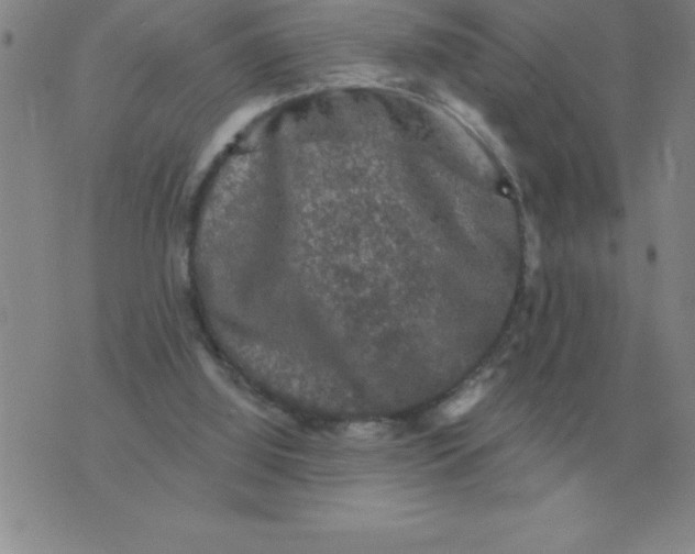 X0000076080060200610152303