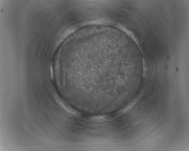 X0000076080061200610152303