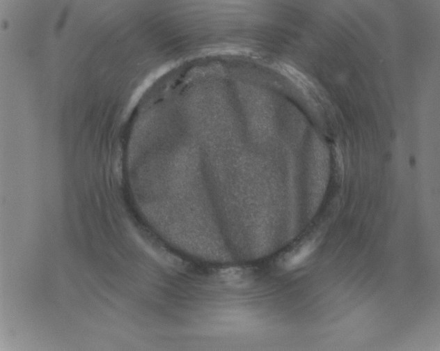 X0000076080064200610152303