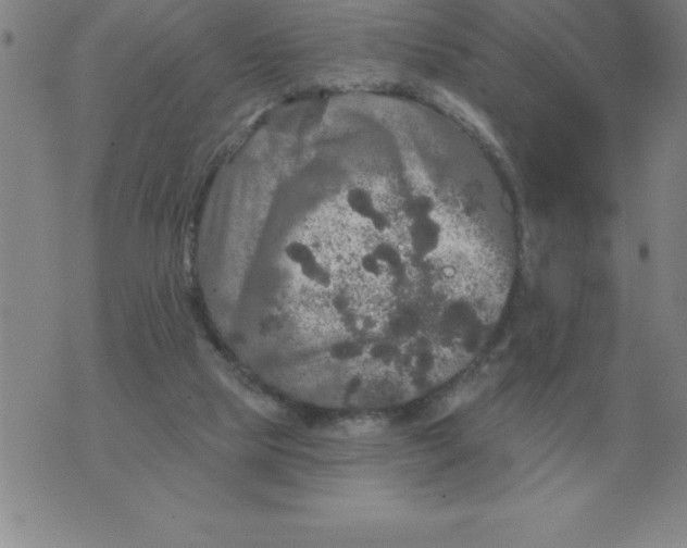 X0000076080065200610152303