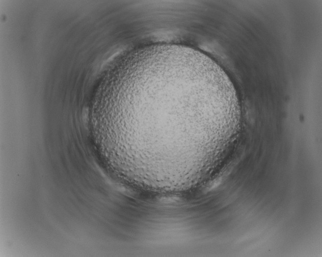 X0000076080066200610152303