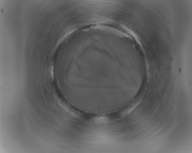 X0000076080067200610152303