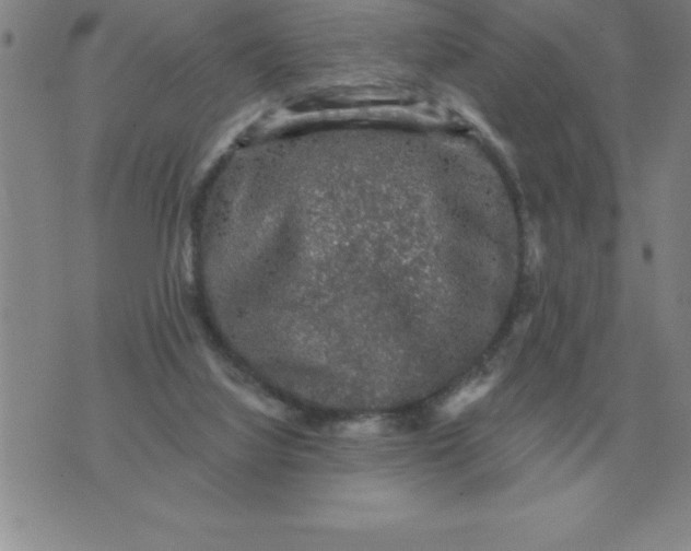 X0000076080068200610152303