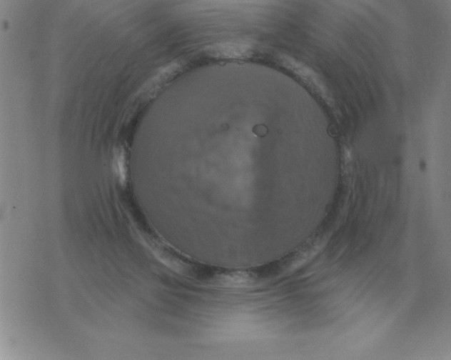 X0000076080069200610152303