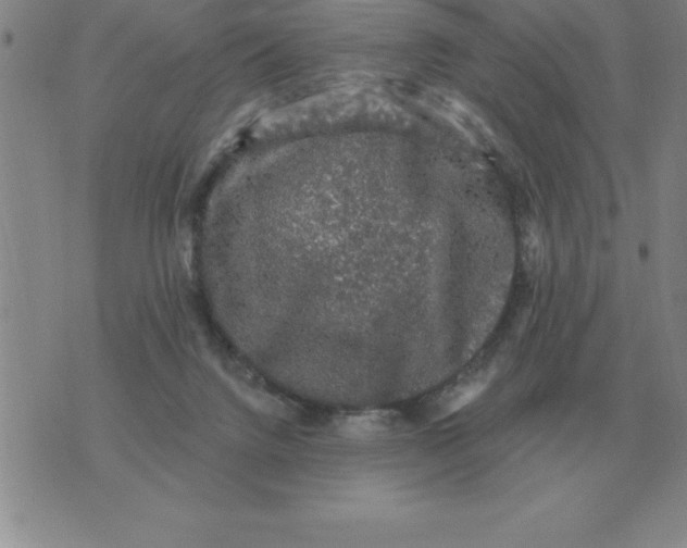 X0000076080072200610152303