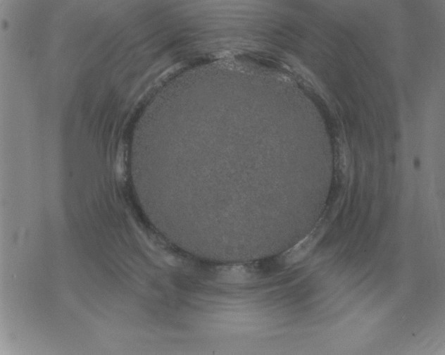 X0000076080074200610152303