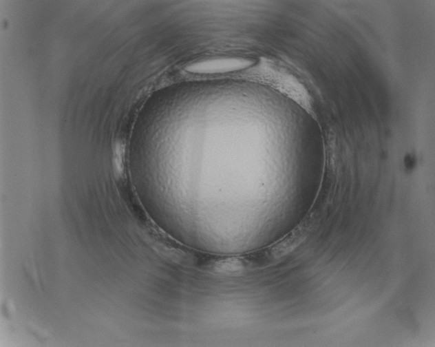 X0000076080075200610152303