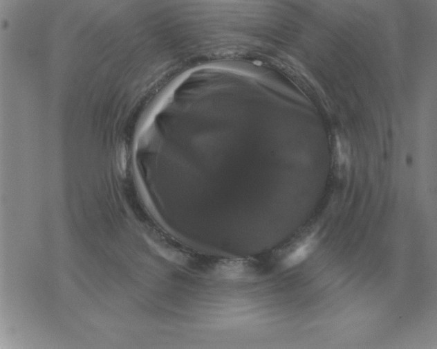 X0000076080076200610152303