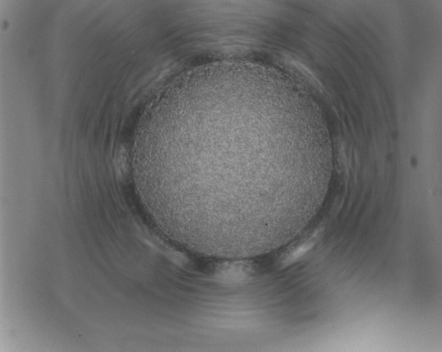 X0000076080077200610152303