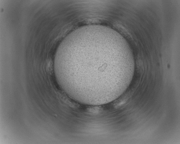 X0000076080079200610152303