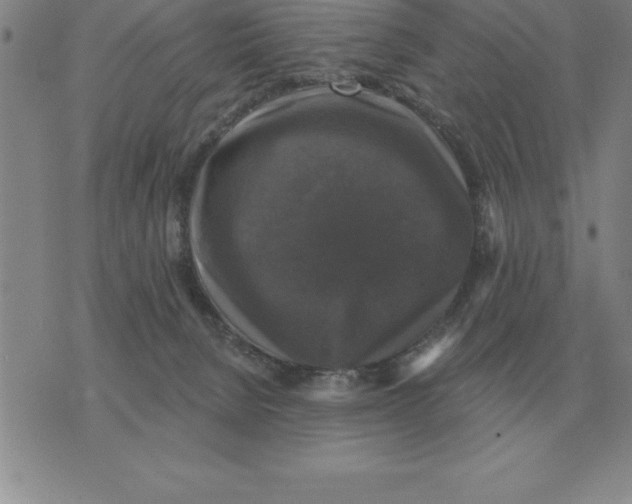 X0000076080080200610152303