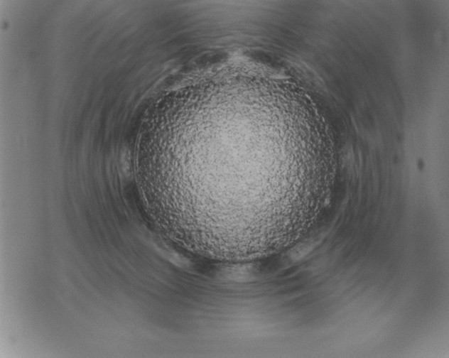 X0000076080081200610152303