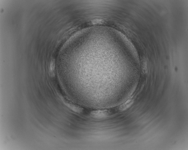 X0000076080082200610152303