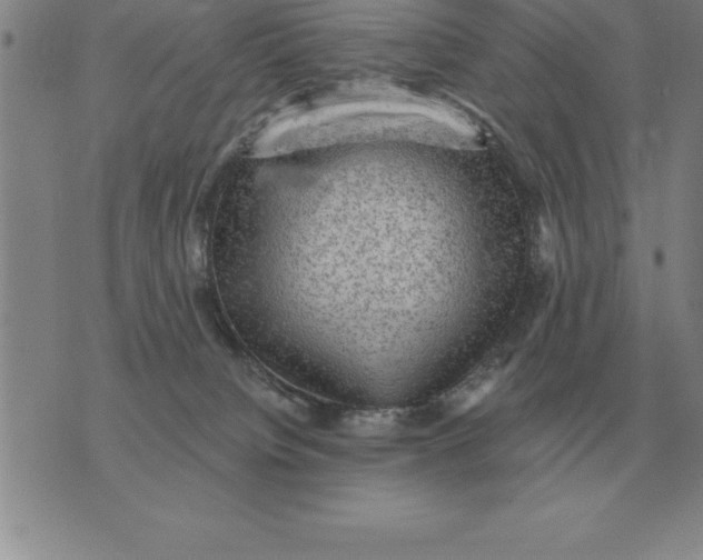 X0000076080084200610152303