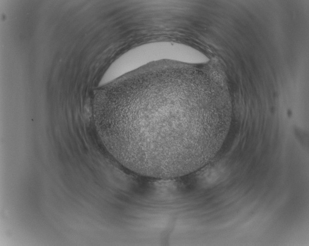 X0000076080085200610152303