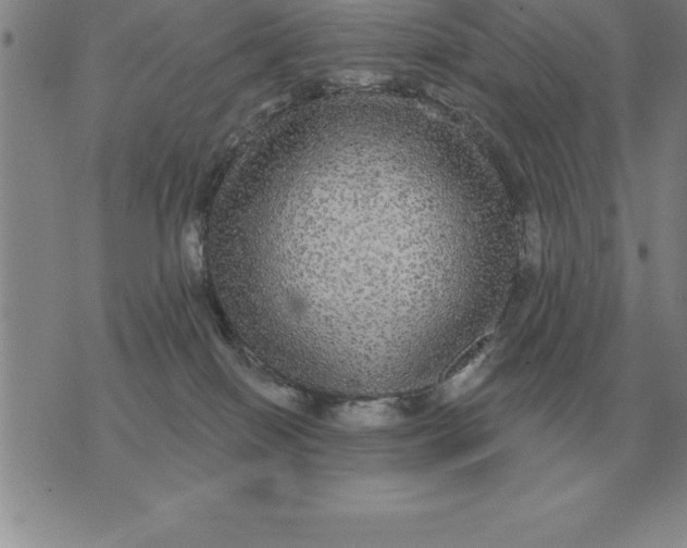 X0000076080086200610152303