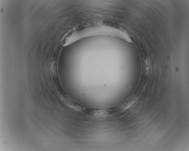 X0000076080088200610152303